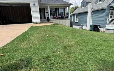 Photo of Ndjma J.'s yard after getting lawn care in Shirley, NY