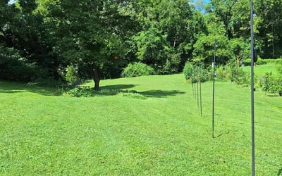 Photo of Katie C.'s yard after getting lawn care in Hopewell, VA
