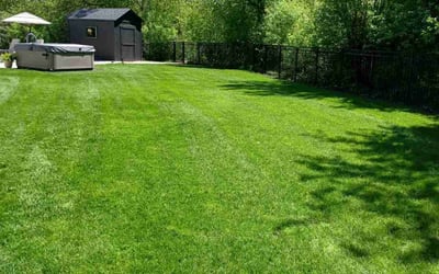 Photo of Trudy C.'s yard after getting lawn care in Ada, MI