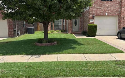 Photo of Donald B.'s yard after getting lawn care in Troy, MO
