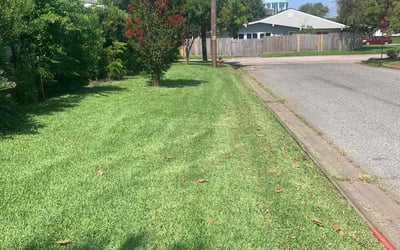 Photo of Holly F.'s yard after getting lawn care in Galveston, TX