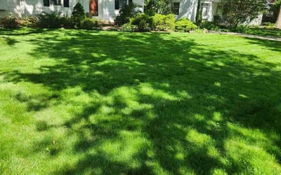 Photo of Delwyn B.'s yard after getting lawn care in Brookpark, OH