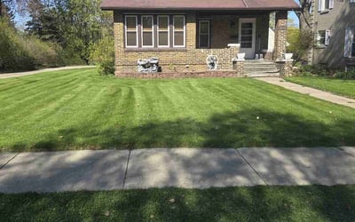 Photo of Marian S.'s yard after getting lawn care in South Milwaukee, WI