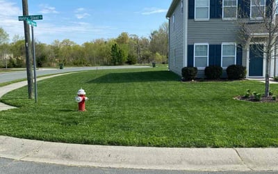 Photo of Shijing L.'s yard after getting lawn care in Gibsonville, NC