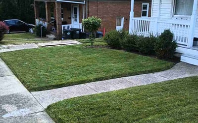 Photo of Latrice S.'s yard after getting lawn care in Harrison, OH