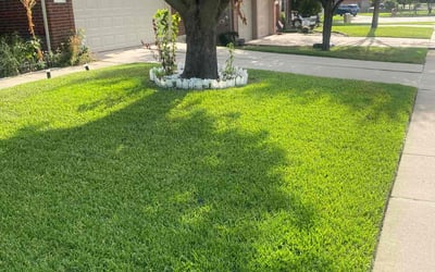 Photo of Linda W.'s yard after getting lawn care in Flower Mound, TX