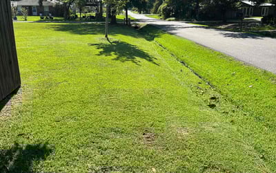 Photo of Luis H.'s yard after getting lawn care in Mandeville, LA
