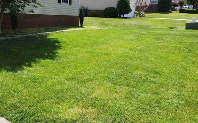 Photo of Candice H.'s yard after getting lawn care in Madison, NC