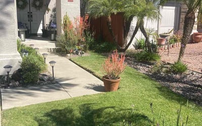 Photo of Dean L.'s yard after getting lawn care in Escondido, CA