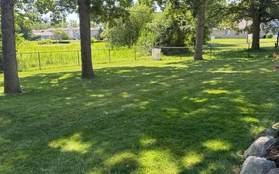 Photo of Bruce C.'s yard after getting lawn care in New Baltimore, MI