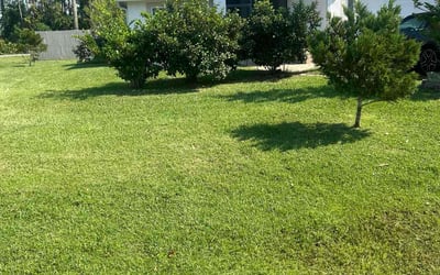 Photo of Robert C.'s yard after getting lawn care in River Falls, WI