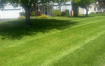 Photo of Maureen D.'s yard after getting lawn care in Spencerport, NY