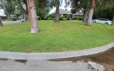 Photo of Cathleen G.'s yard after getting lawn care in Arcadia, CA