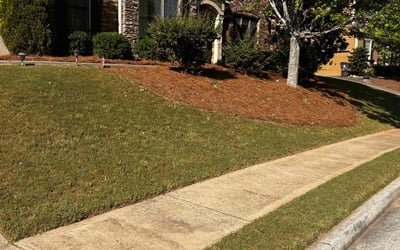 Photo of Heather J.'s yard after getting lawn care in Dallas, GA