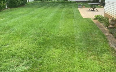Photo of Margaret W.'s yard after getting lawn care in Renton, WA