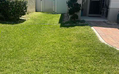Photo of Tracy H.'s yard after getting lawn care in Fruitland Park, FL