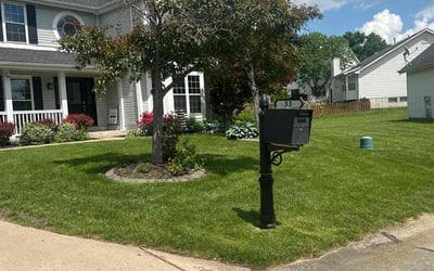 Photo of Rena W.'s yard after getting lawn care in Jersey City, NJ