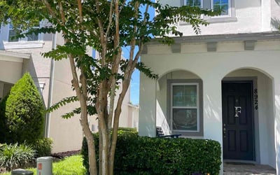 Photo of Vincent S.'s yard after getting lawn care in Winter Garden, FL