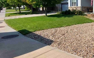 Photo of Adrienne E.'s yard after getting lawn care in Thornton, CO