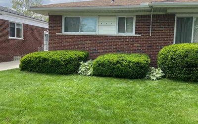 Photo of Ben B.'s yard after getting lawn care in Santa Fe, TX