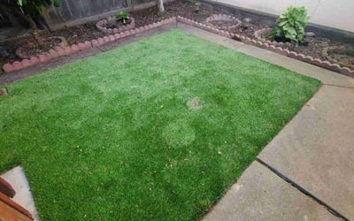 Photo of Melinda A.'s yard after getting lawn care in San Francisco, CA