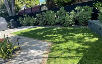 Photo of Kim p.'s yard after getting lawn care in Cupertino, CA