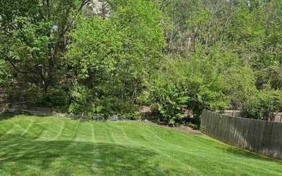Photo of Denise M.'s yard after getting lawn care in Paola, KS