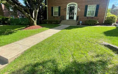 Photo of Betty T.'s yard after getting lawn care in Washington, DC