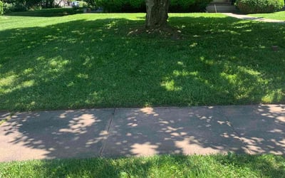 Photo of Kai S.'s yard after getting lawn care in Owings Mills, MD