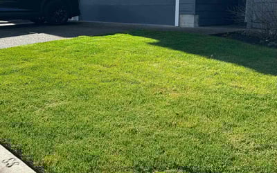 Photo of Brynyah M.'s yard after getting lawn care in Portland, OR