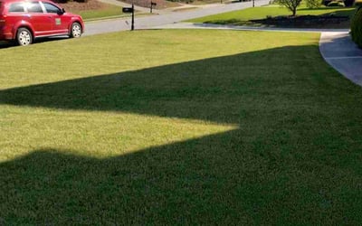 Photo of Tasha N.'s yard after getting lawn care in Dacula, GA