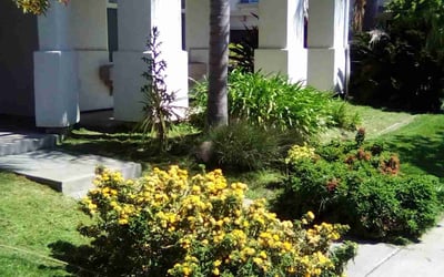 Photo of Larry K.'s yard after getting lawn care in Oakdale, CA