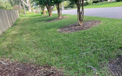 Photo of Scott S.'s yard after getting lawn care in Somerset, NJ