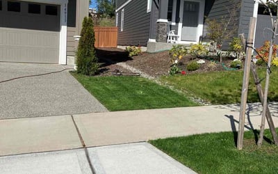 Photo of Steven W.'s yard after getting lawn care in Bonney Lake, WA