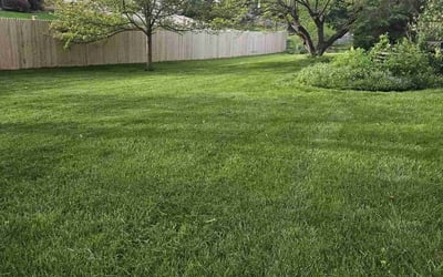 Photo of Debra W.'s yard after getting lawn care in London, OH