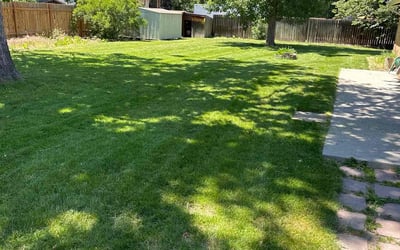 Photo of Alex J.'s yard after getting lawn care in Boise City, ID