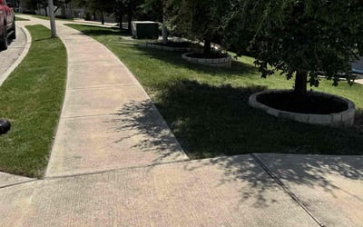 Photo of Billie H.'s yard after getting lawn care in Dundalk, MD