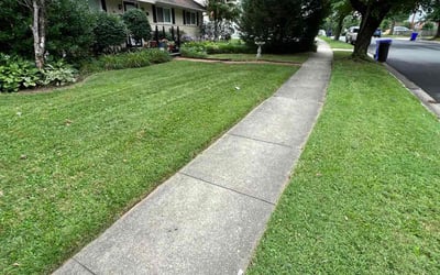 Photo of Georgia C.'s yard after getting lawn care in Bethesda, MD