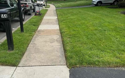 Photo of Kristine M.'s yard after getting lawn care in Media, PA