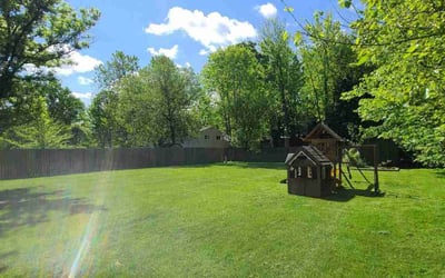 Photo of Erica W.'s yard after getting lawn care in North Ridgeville, OH