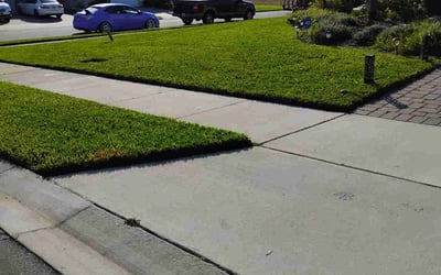 Photo of Kalee E.'s yard after getting lawn care in Doctor Phillips, FL