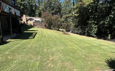 Photo of Michael R.'s yard after getting lawn care in Villa Park, IL