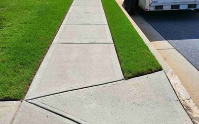 Photo of Chris P.'s yard after getting lawn care in Provo, UT