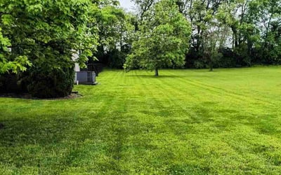 Photo of Penelope B.'s yard after getting lawn care in Gallatin, TN
