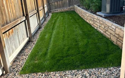 Photo of Sophia M.'s yard after getting lawn care in Parker, CO