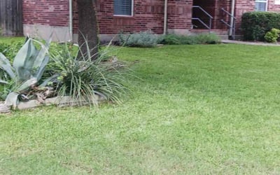 Photo of Andre O.'s yard after getting lawn care in Austin, TX