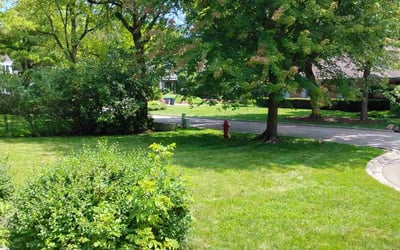 Photo of Ernest H.'s yard after getting lawn care in Elgin, IL