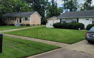 Photo of Stephanie B.'s yard after getting lawn care in Columbia, TN