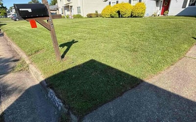Photo of Edwin T.'s yard after getting lawn care in Lansing, MI