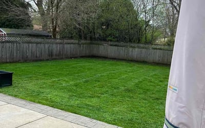 Photo of Shawnell F.'s yard after getting lawn care in Brown Deer, WI